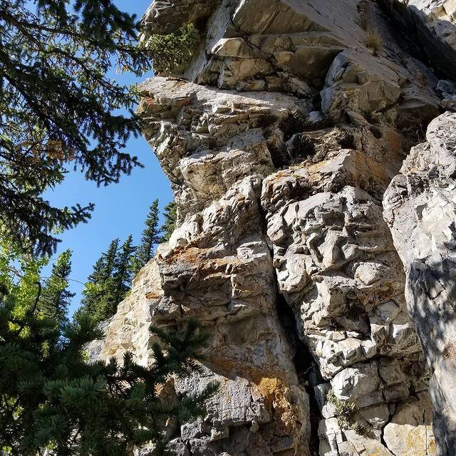Close-up of a rugged rock face under a clear blue sky, surrounded by evergreen trees. The scene conveys a sense of natural beauty and serenity.