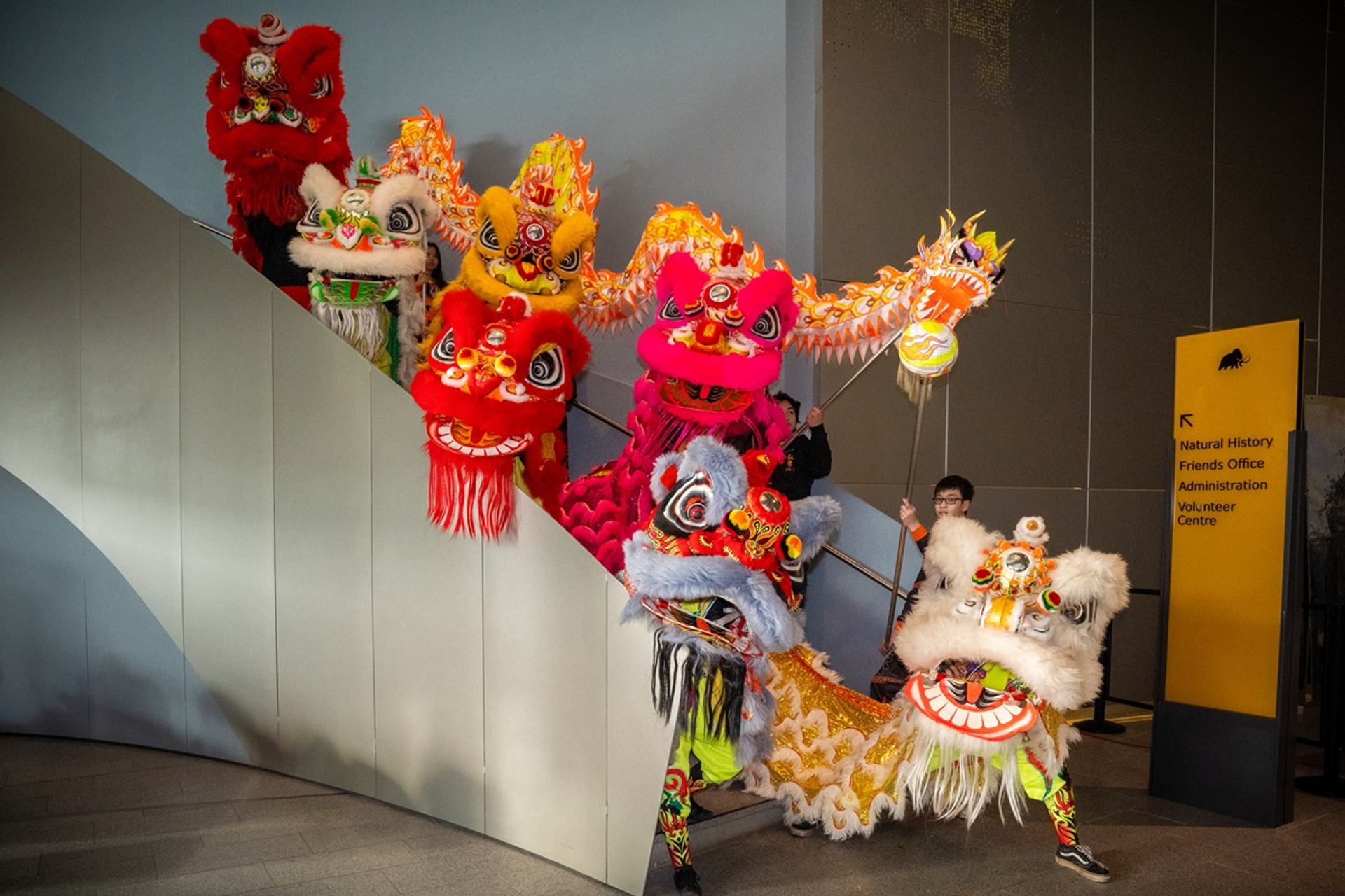 Colorful lion and dragon dance performers on a staircase.