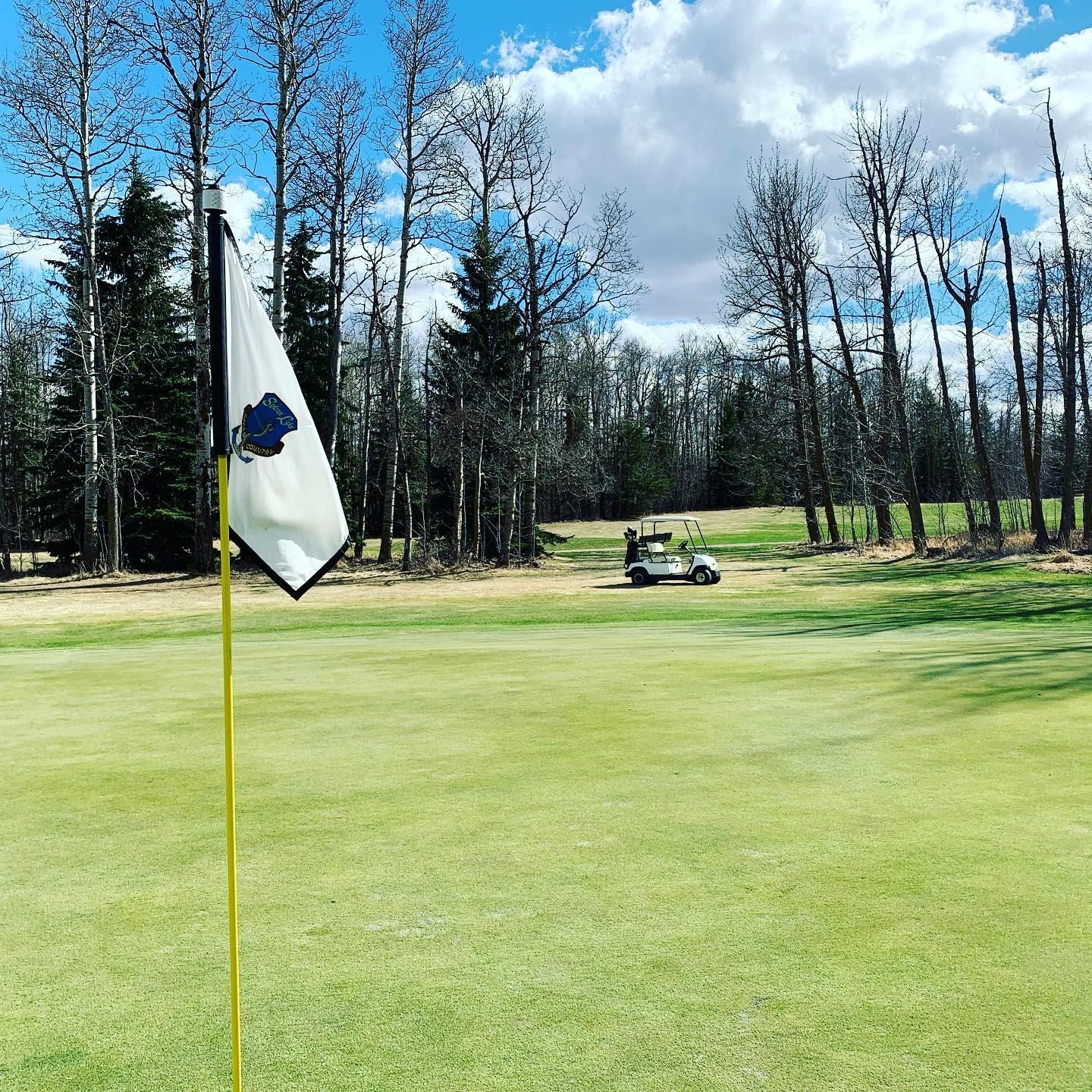 Golf green with white flag, leafless trees, and golf cart under a partly cloudy sky.