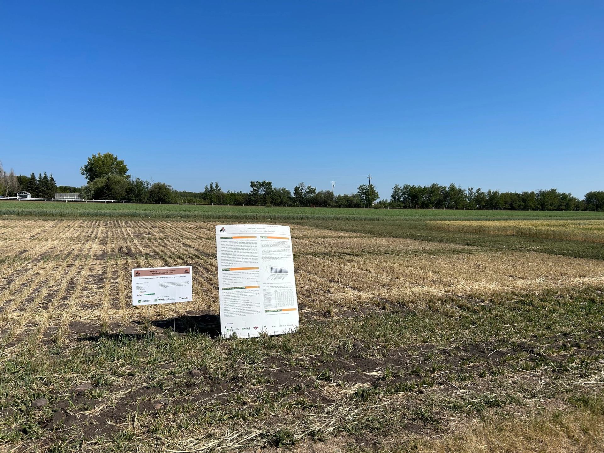 Research plot signs stand in a harvested field beside green crops and trees.