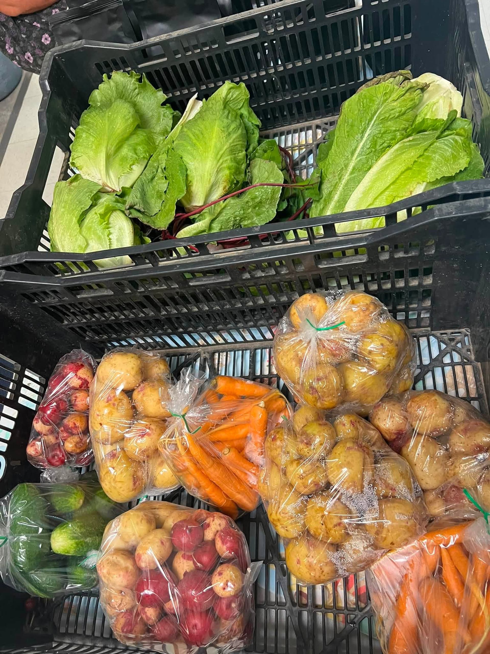 Plastic crates filled with romaine lettuce, bagged potatoes, carrots and cucumbers at a store.