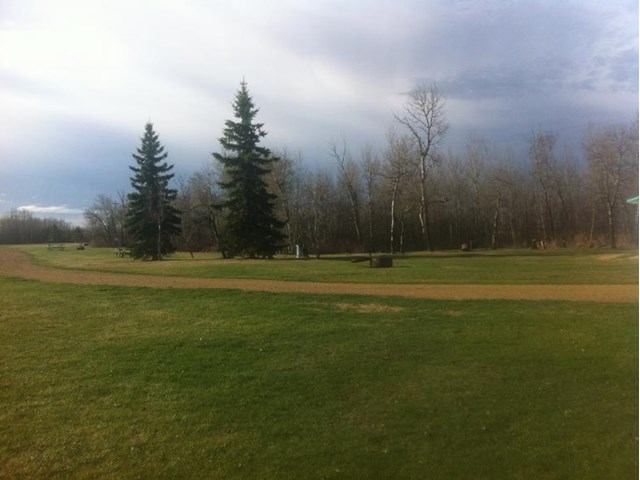 Open grassy campground with dirt paths, trees, and a clear sky in the background.