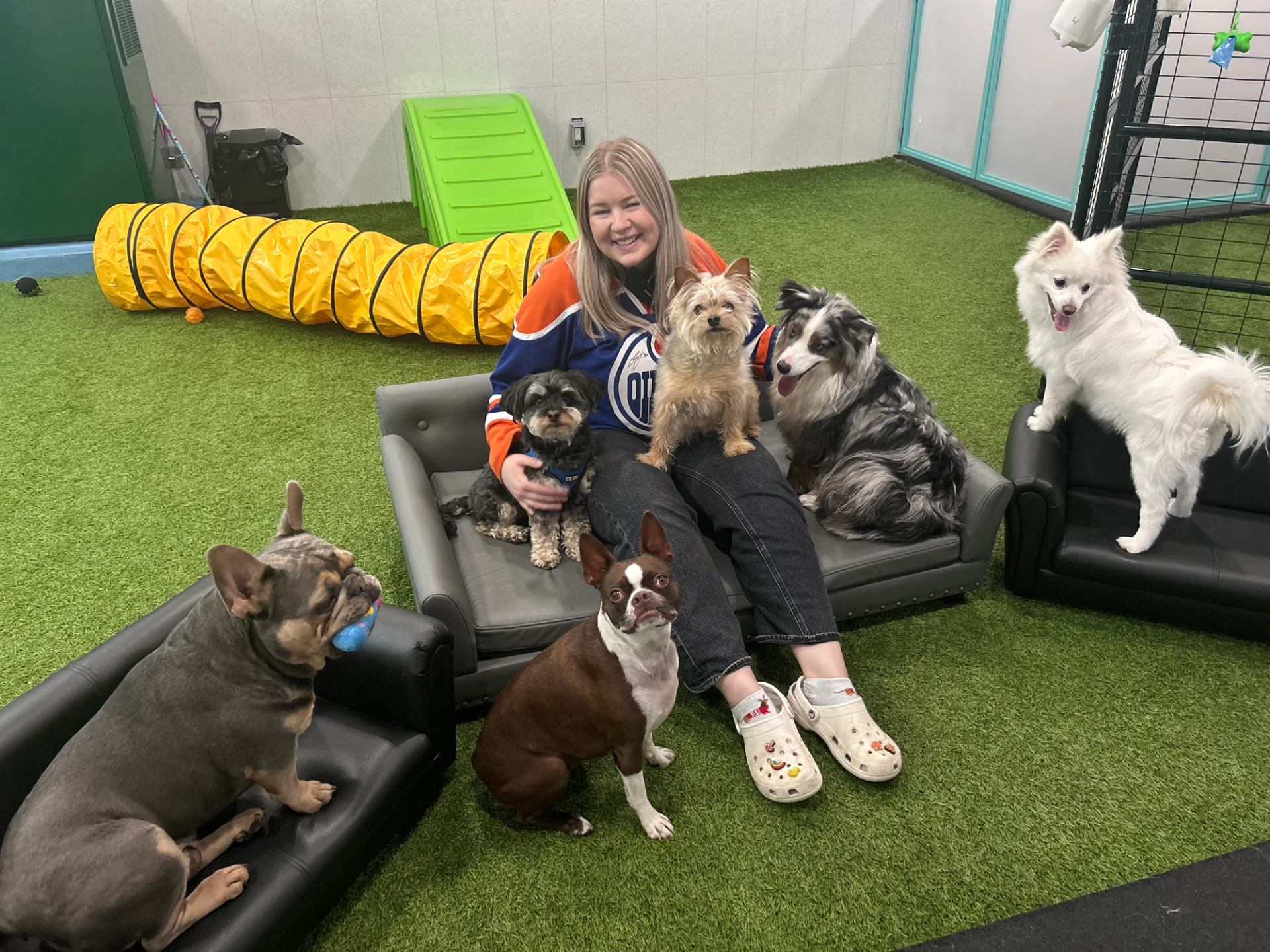 Person with six dogs on turf floor at Fantasia Dog Daycare, with tunnel and ramp in background.