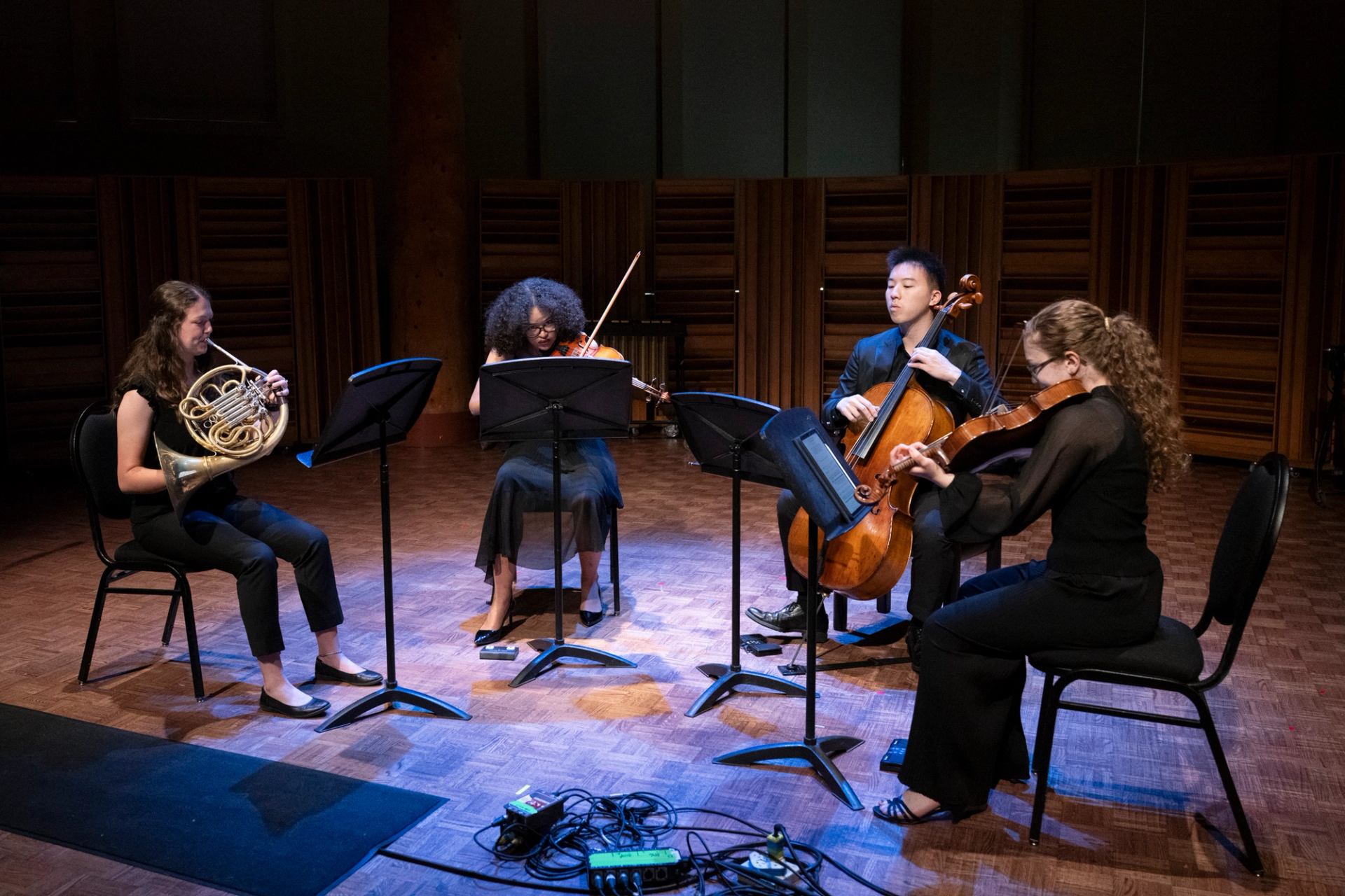 Chamber ensemble performs on stage with horn, violin, viola and cello around music stands.