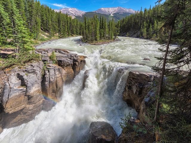 River rapids over rocky canyon with pine trees and mountains in background.