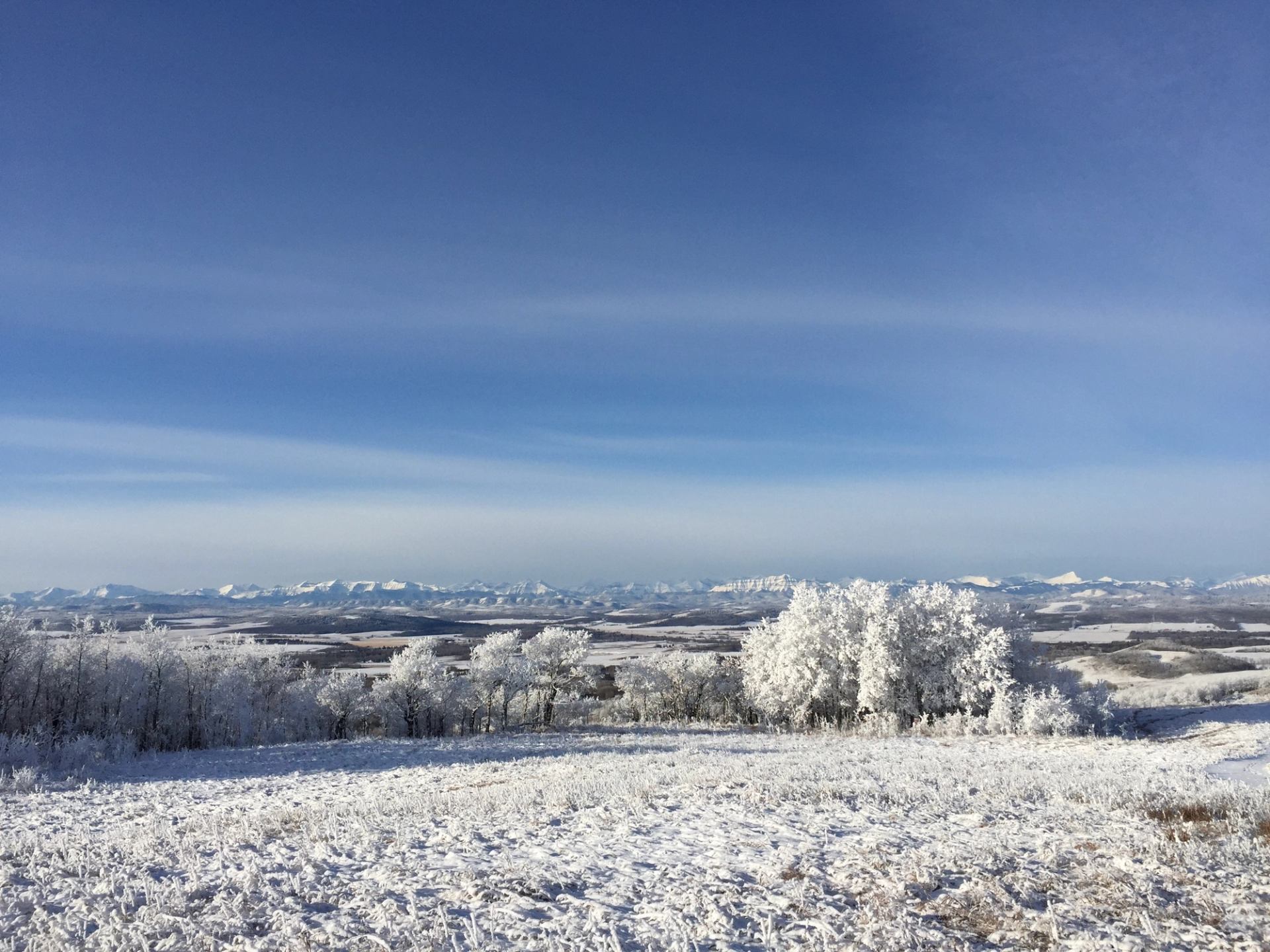 Snowy landscape with trees and distant mountains under a clear blue sky.