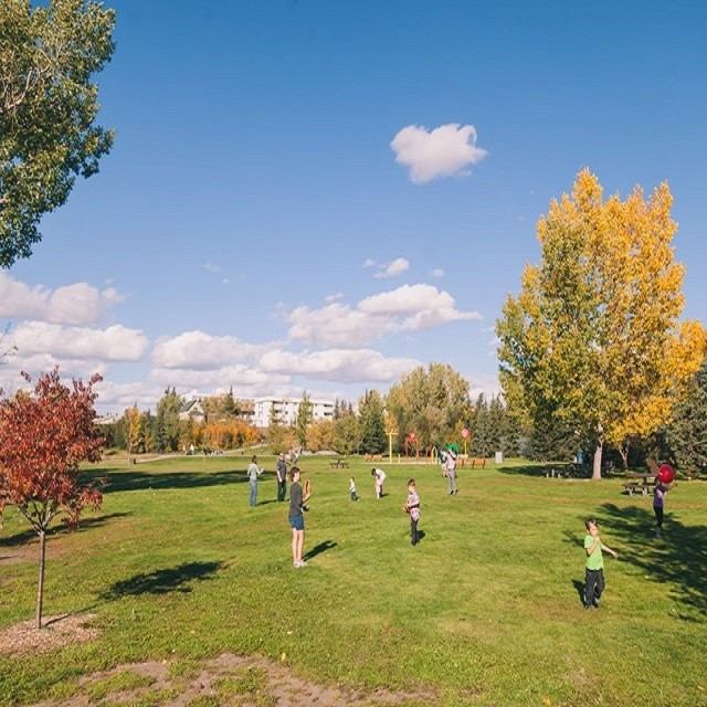 Park lawn with people walking and trees with autumn-coloured leaves under blue sky.
