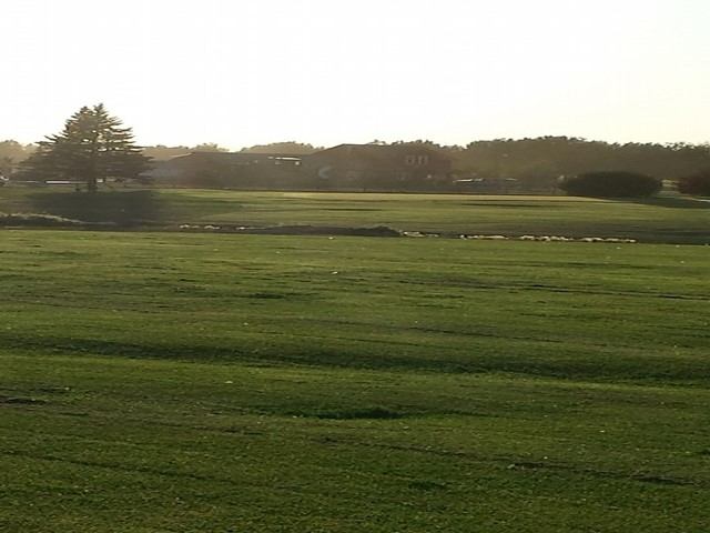 Sunlit fairway at Enchant Golf Club with open green fields.
