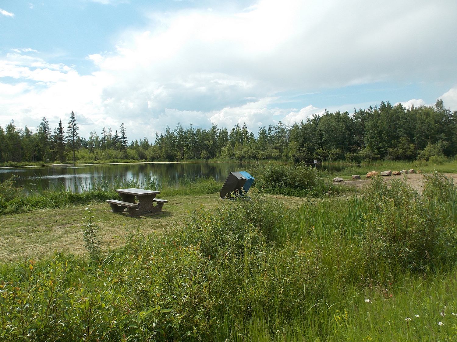 Picnic area at Shell True North Pond.