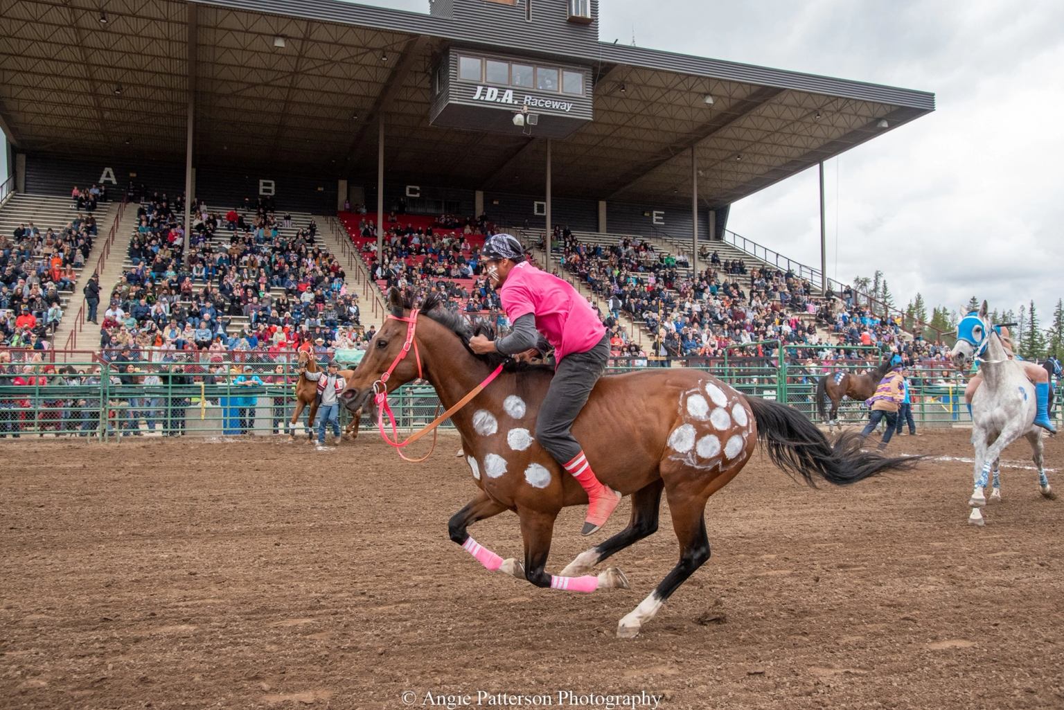 Indigenous Celebration - Indian Relay Racing | Canada's Alberta