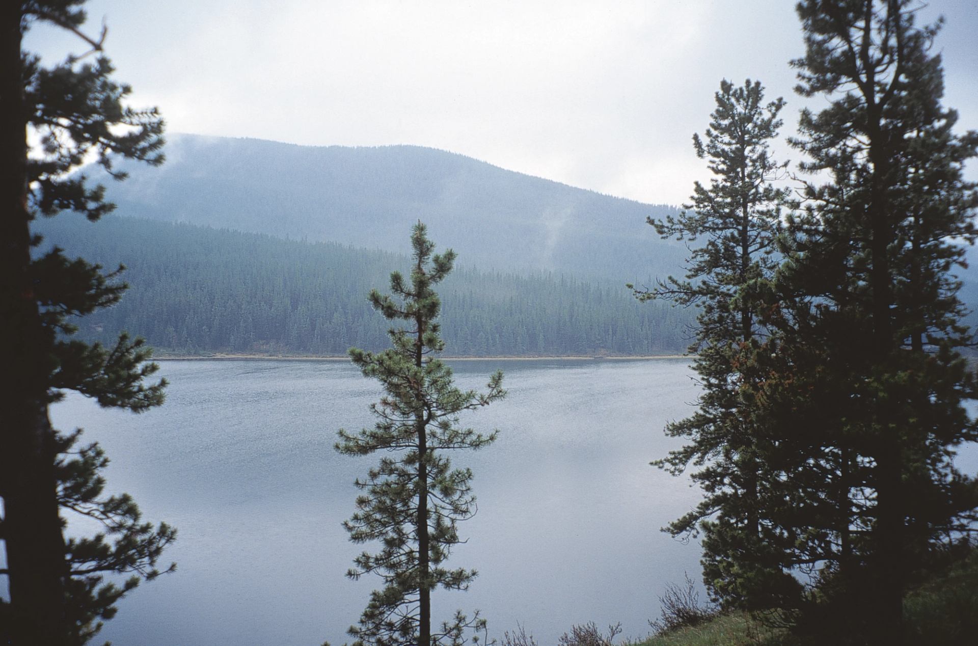 Conifer trees frame a calm lake with forested hills under a cloudy sky.
