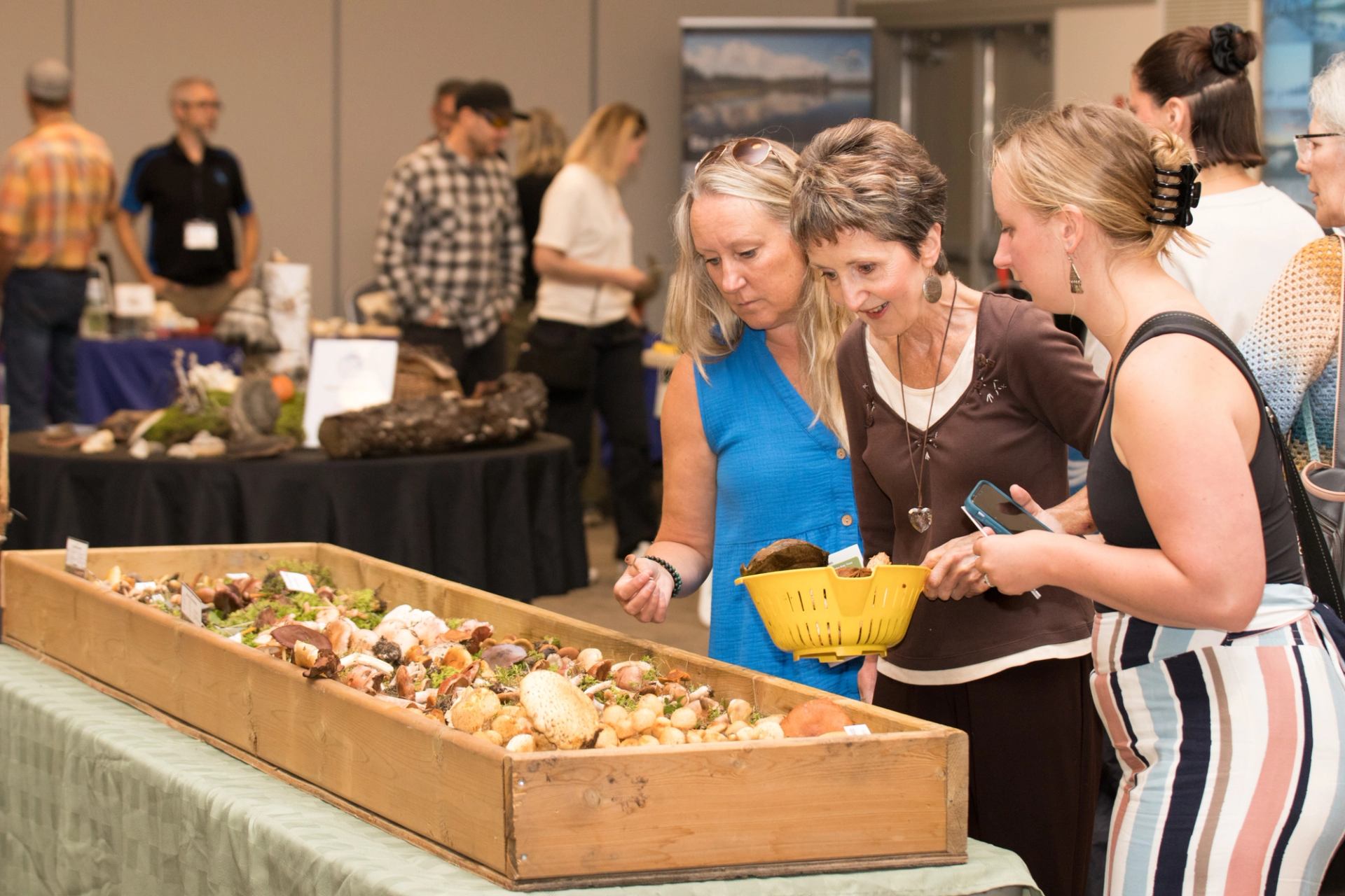 Bringing your own mushrooms for identification.