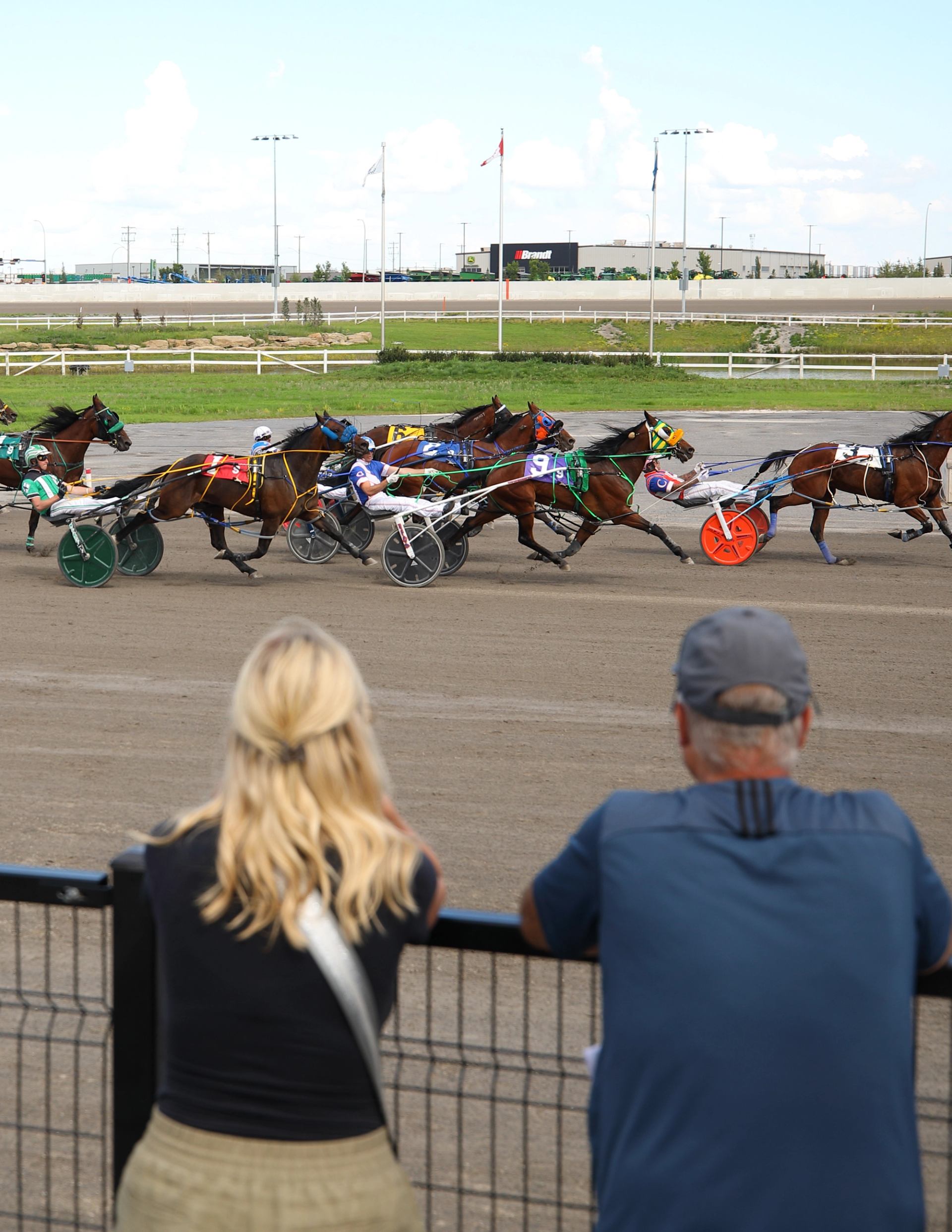 Two spectators watching harness horses speed around the track
