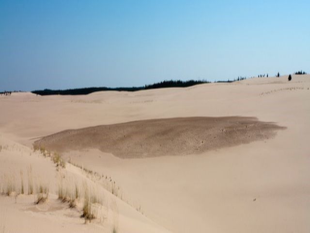 Landscape shot of the Athabasca Dunes Ecological Reserve in Alberta.