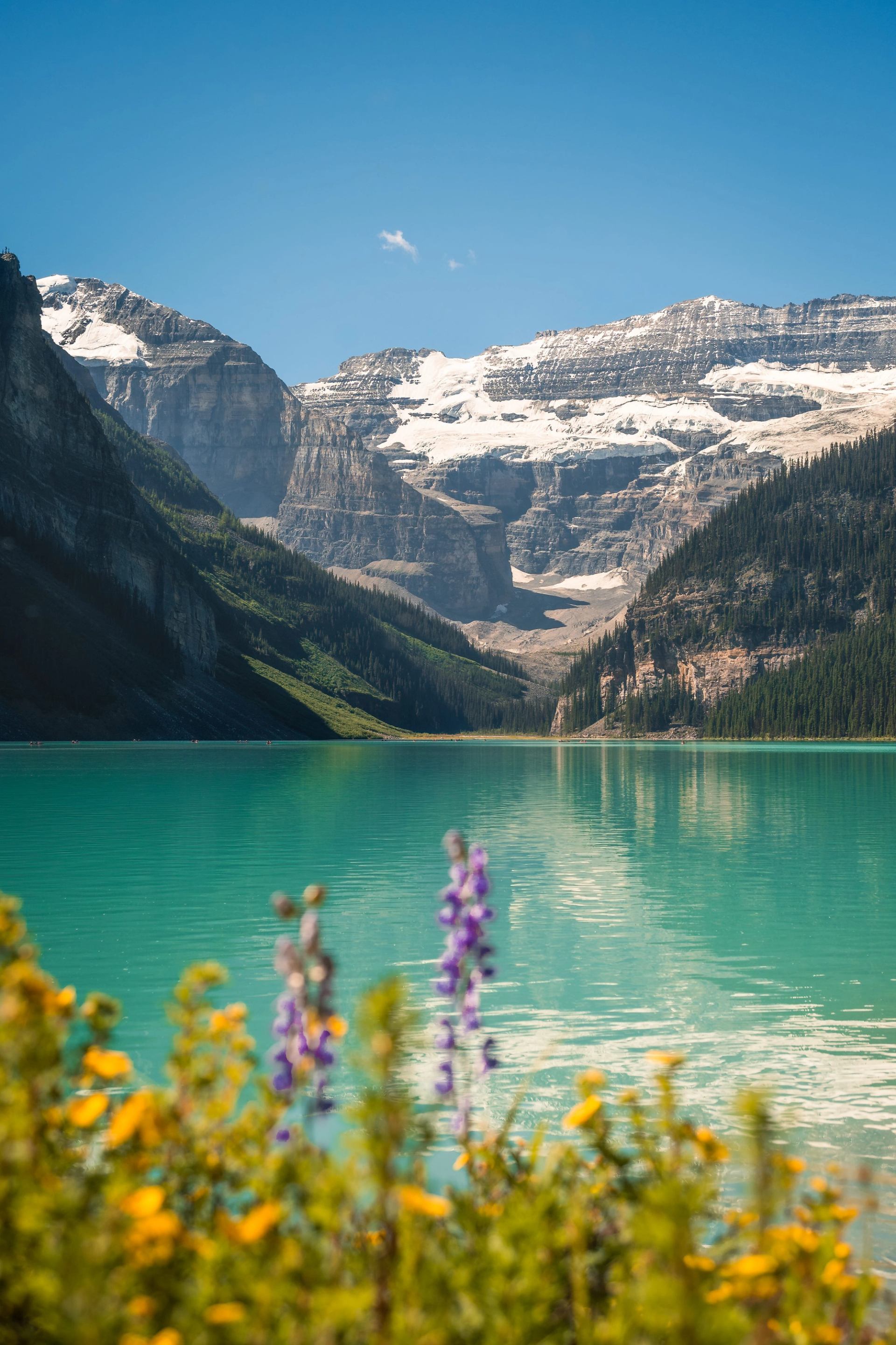 Turquoise lake with wildflowers, snow-capped mountains, and clear blue sky.