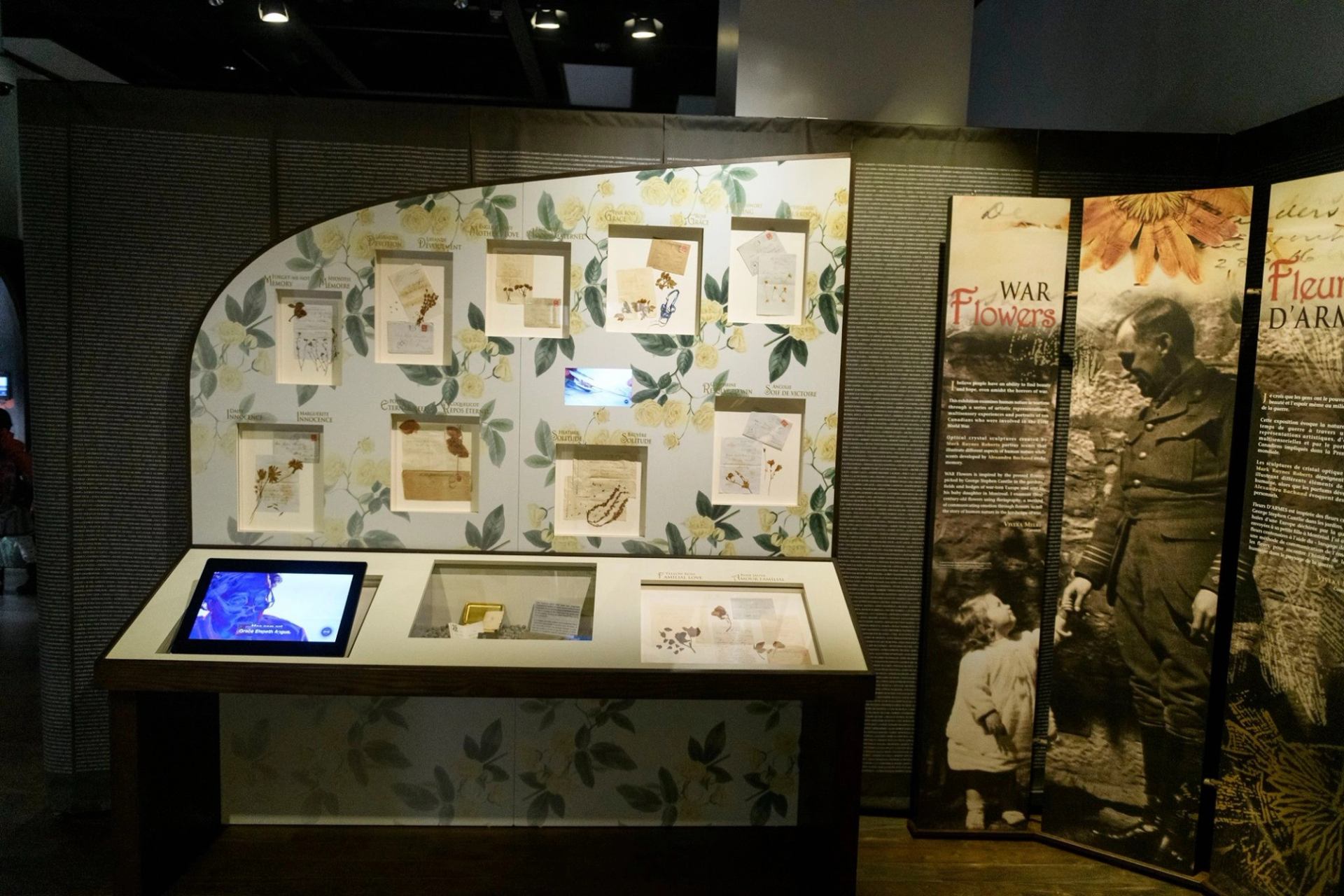 Art gallery display with framed botanical artwork, illuminated panels, and a war-themed poster.