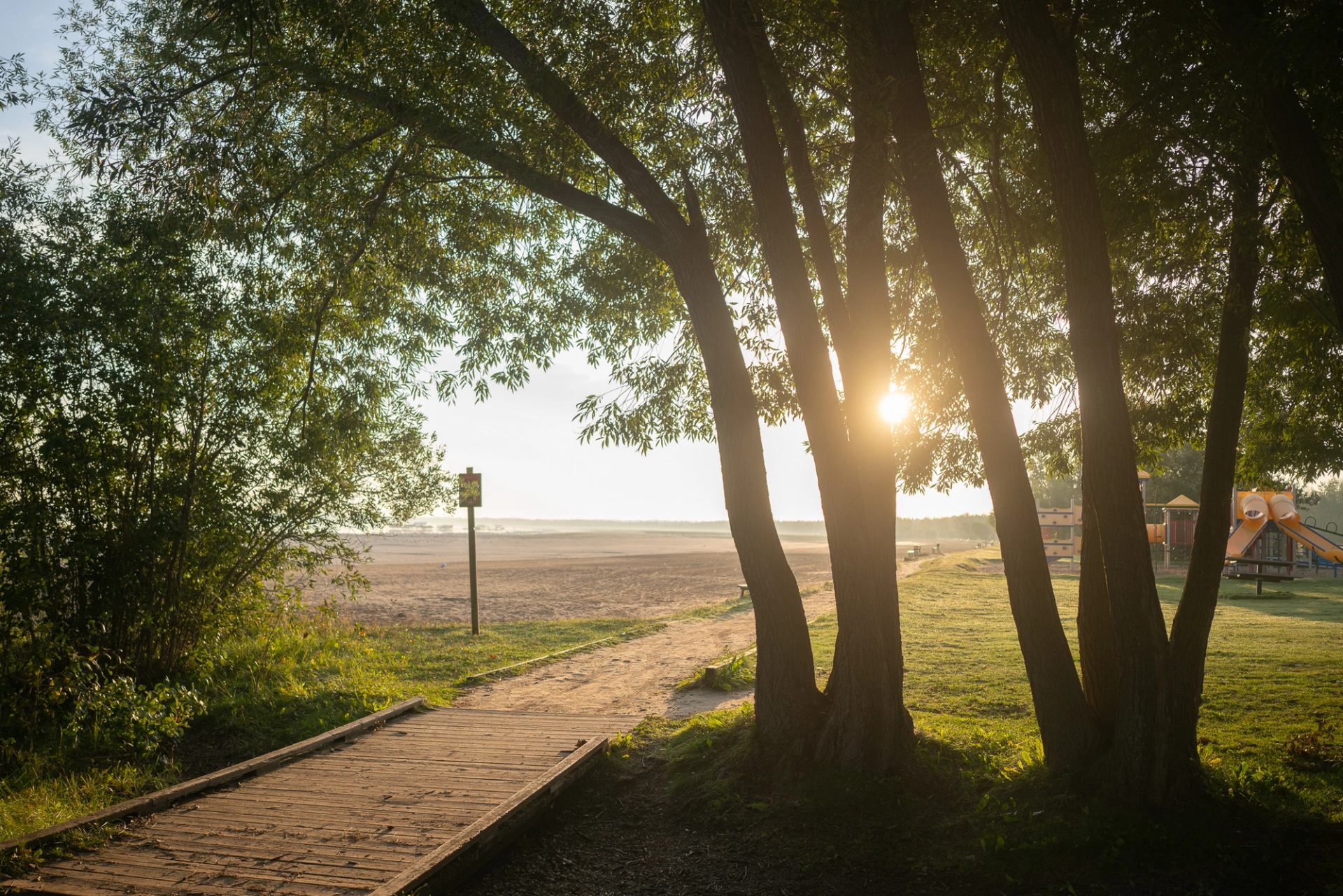 Trees framing sandy beach, wooden path and playground with low sun shining through.