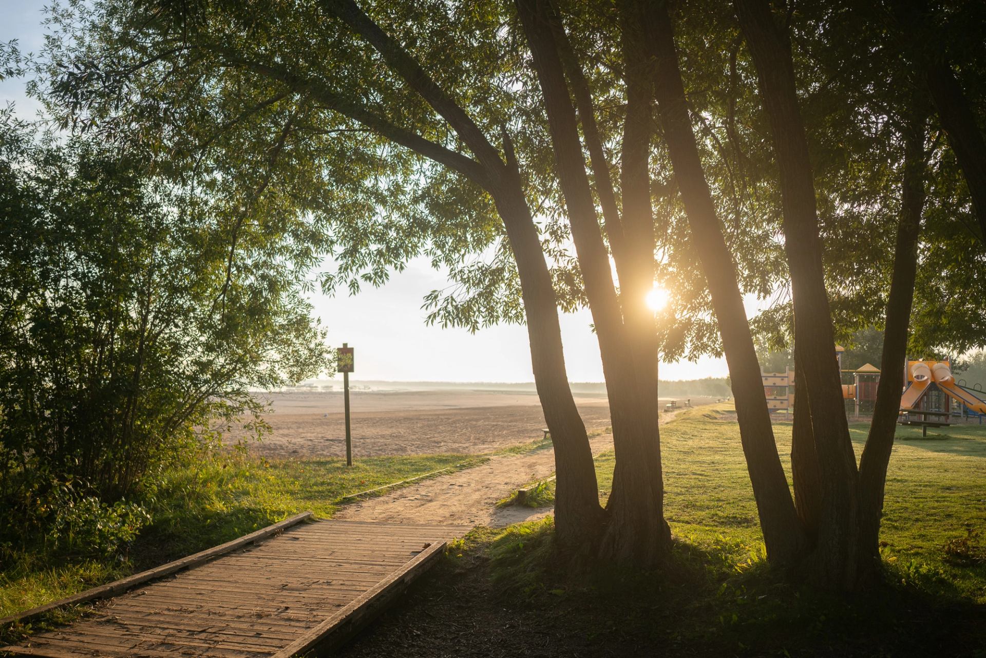 Trees framing sandy beach, wooden path and playground with low sun shining through.