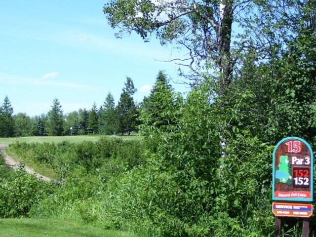 Hole 15 sign at Balmoral Golf Course with trees and blue sky in background.