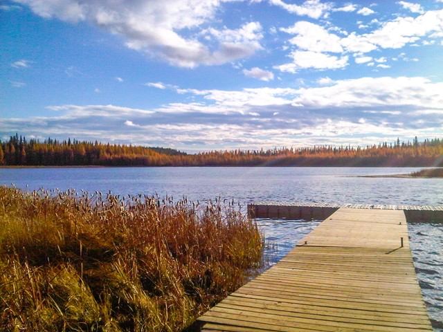 Wooden dock extending into a calm lake surrounded by autumn trees under a bright blue sky.