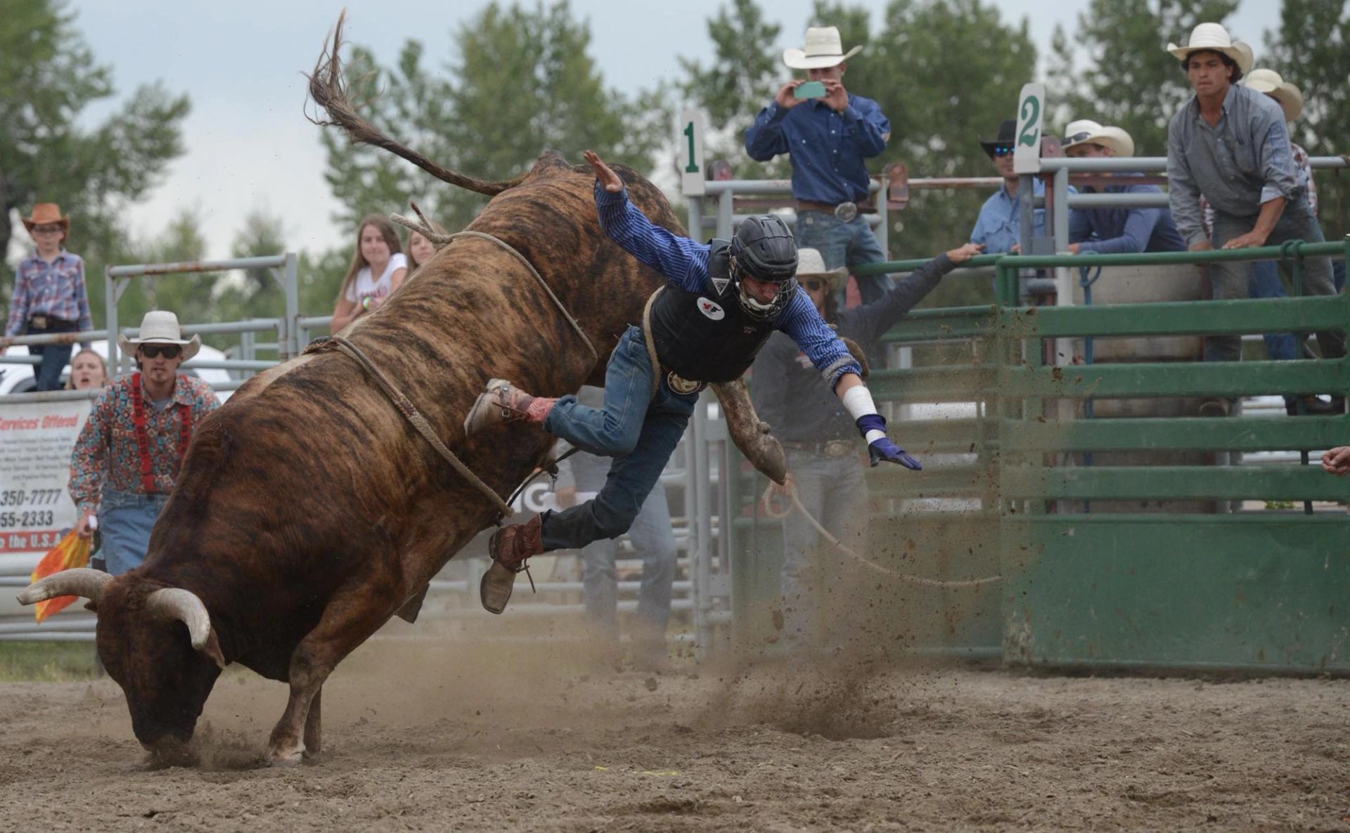 Rodeo rider is thrown from a bucking bull in a dirt arena as spectators watch from behind the rails.