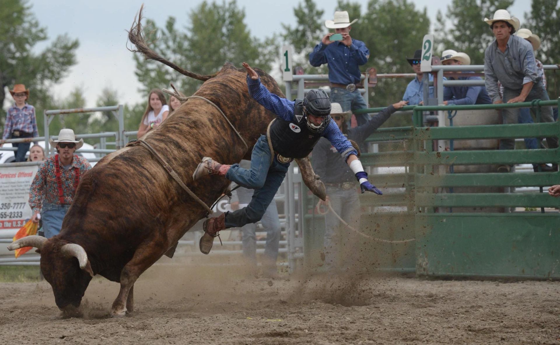 Rodeo rider is thrown from a bucking bull in a dirt arena as spectators watch from behind the rails.
