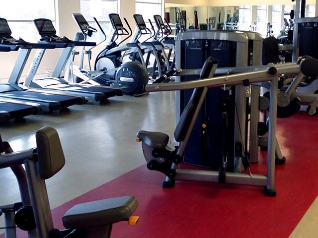 Fitness centre interior with treadmills, exercise bikes, and weight machines in rows.