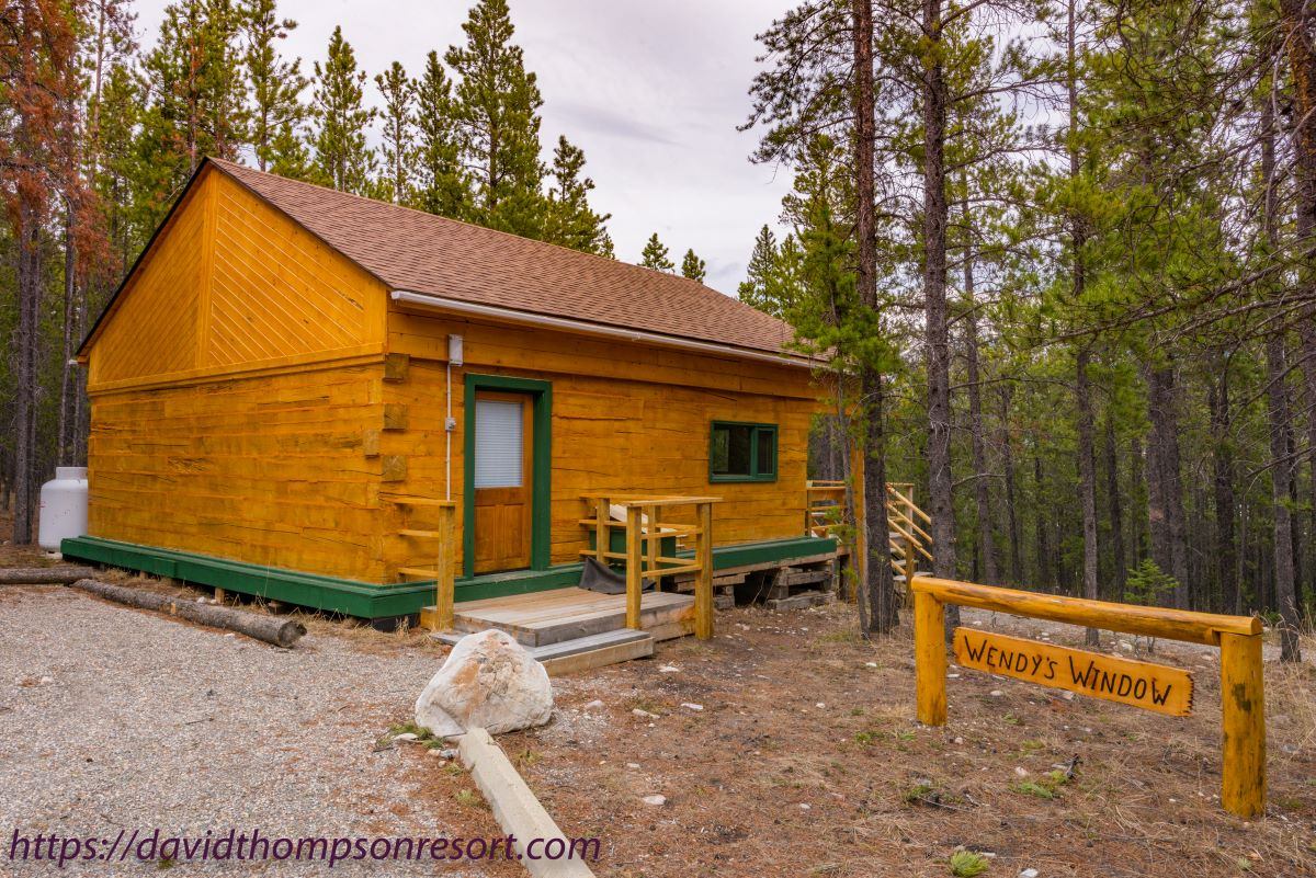 Wood cabin beside a Wendy's Window sign in a pine forest.