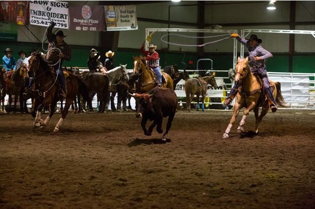 Horse and rider chasing a calf across the dirt arena during a rodeo roping event.