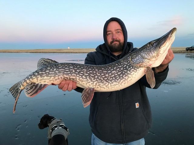 Person holds large fish near water at sunset; dog watches in foreground.