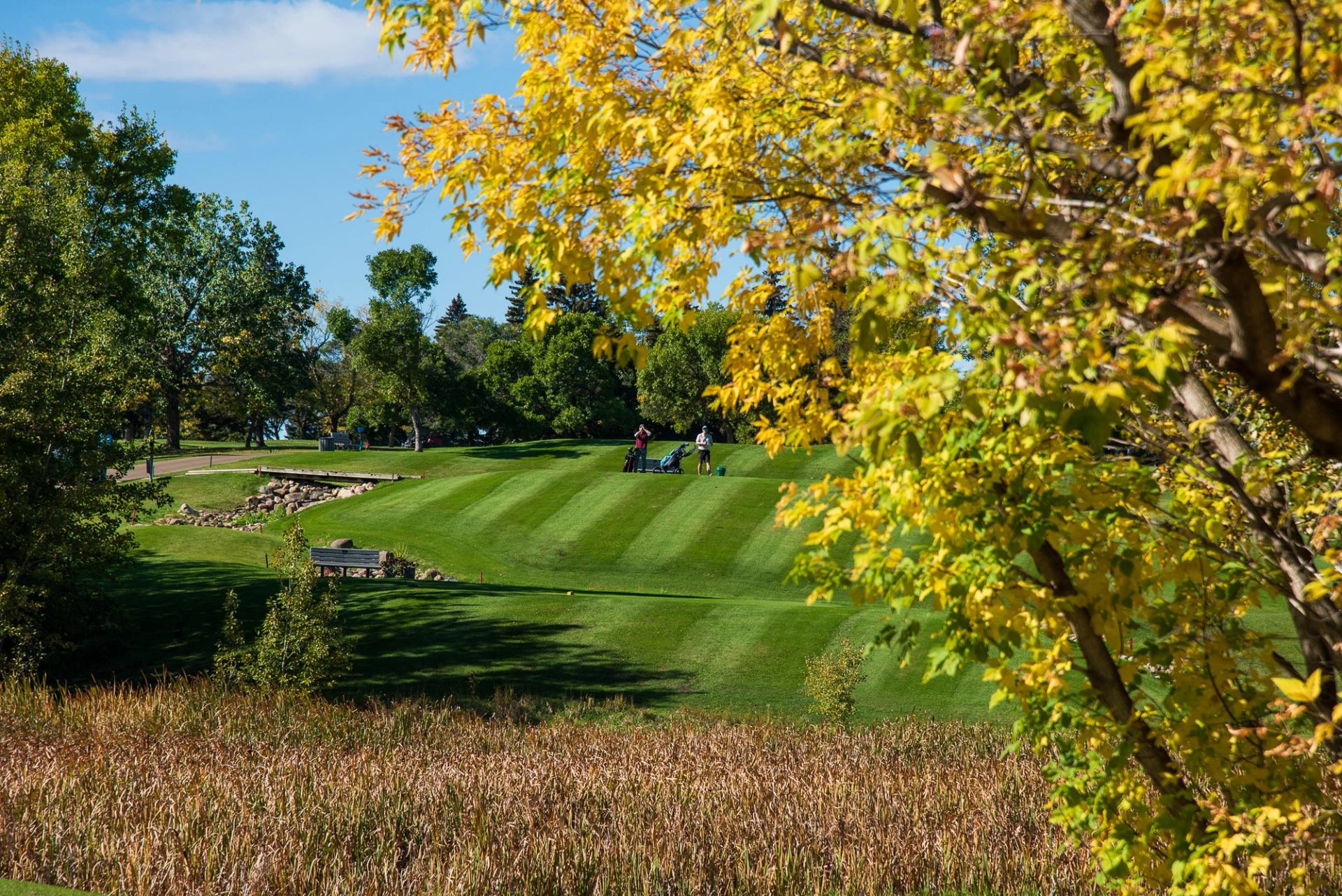 A short hole on the Camrose Golf Course showing crisp mowing lines and people scoping out the distance to the green.