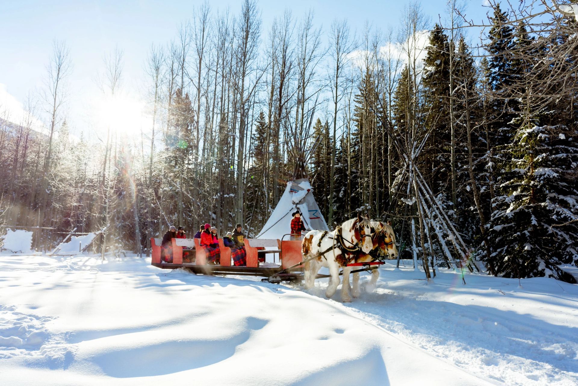 Horse-drawn sleigh glides through snowy forest at Boundary Ranch in the Rocky Mountains.