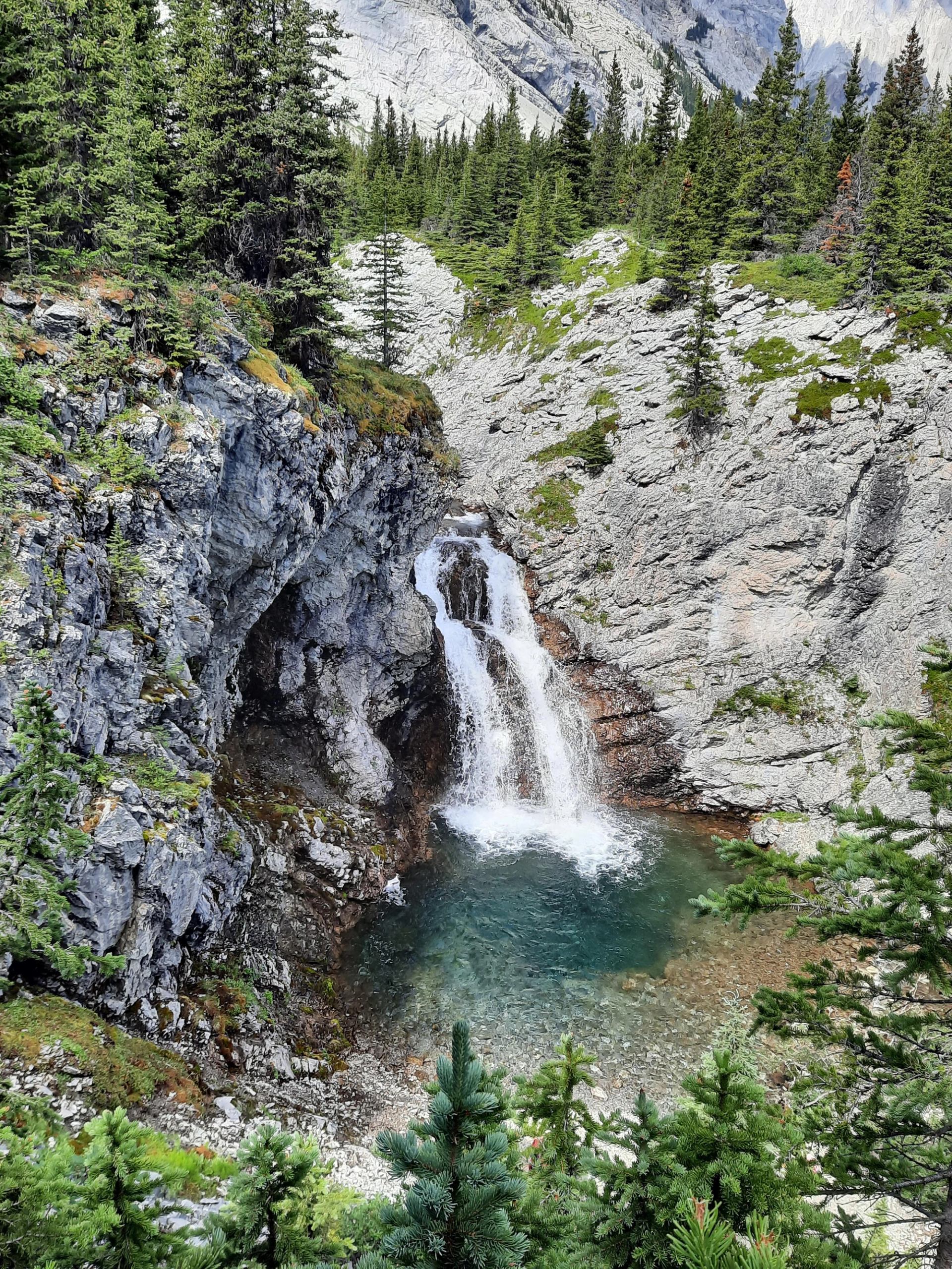 Rocky gorge with small waterfall cascading into clear turquoise pool, surrounded by evergreens.