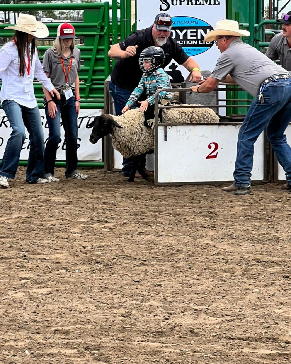 Child riding at sheep