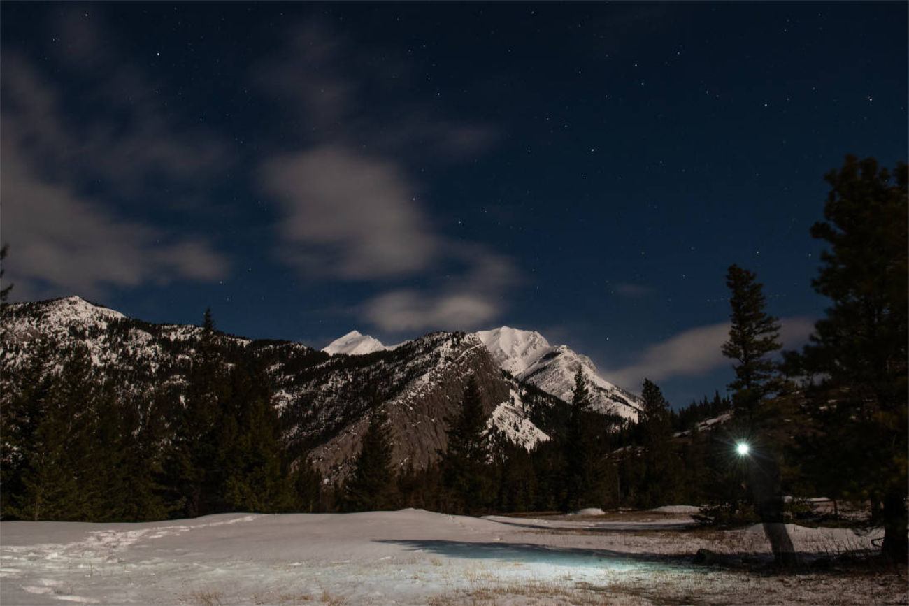 Snowy peaks and trees under a clear night sky with soft light.