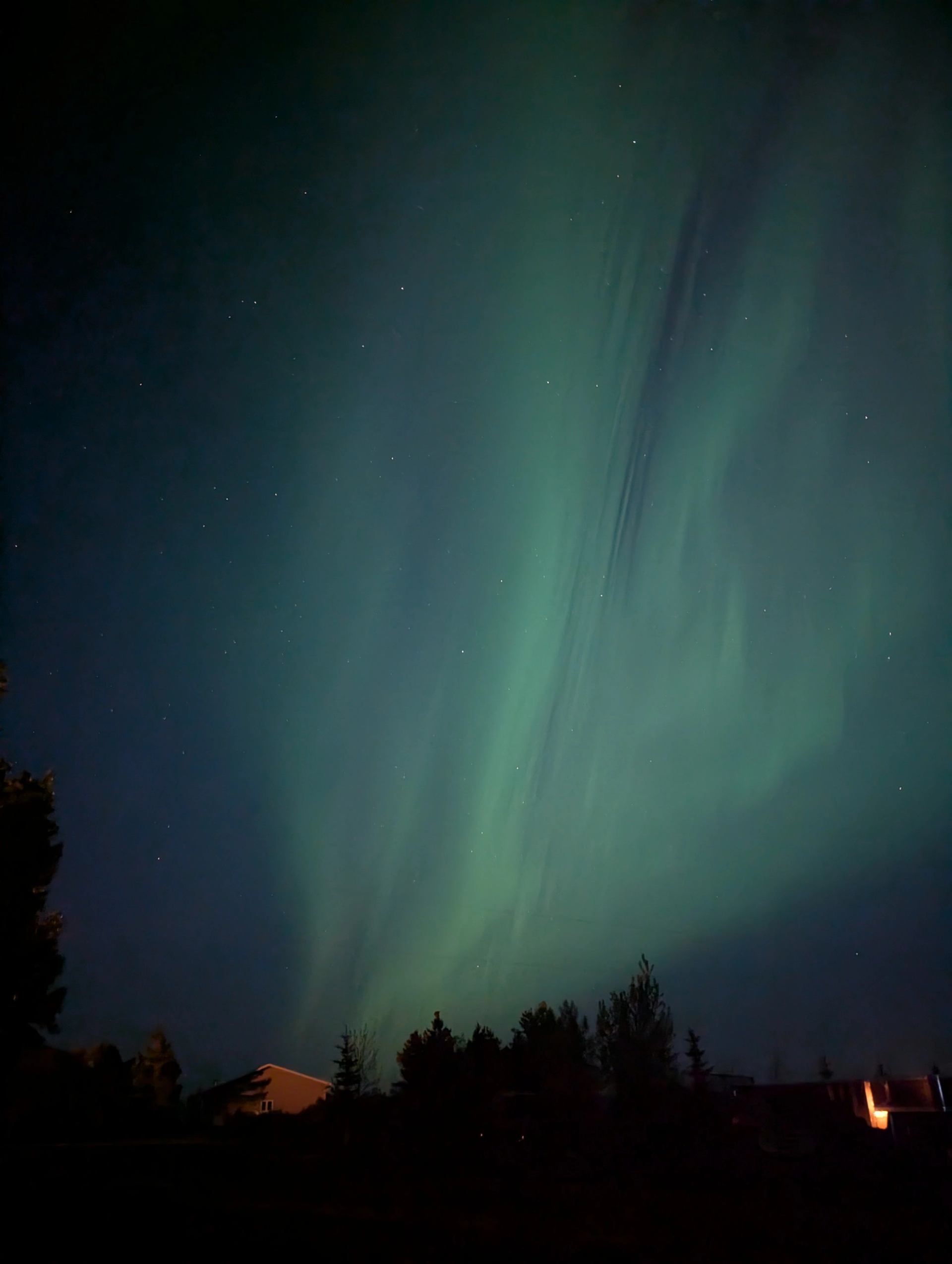 Green aurora borealis streaks across night sky above silhouetted trees and houses.