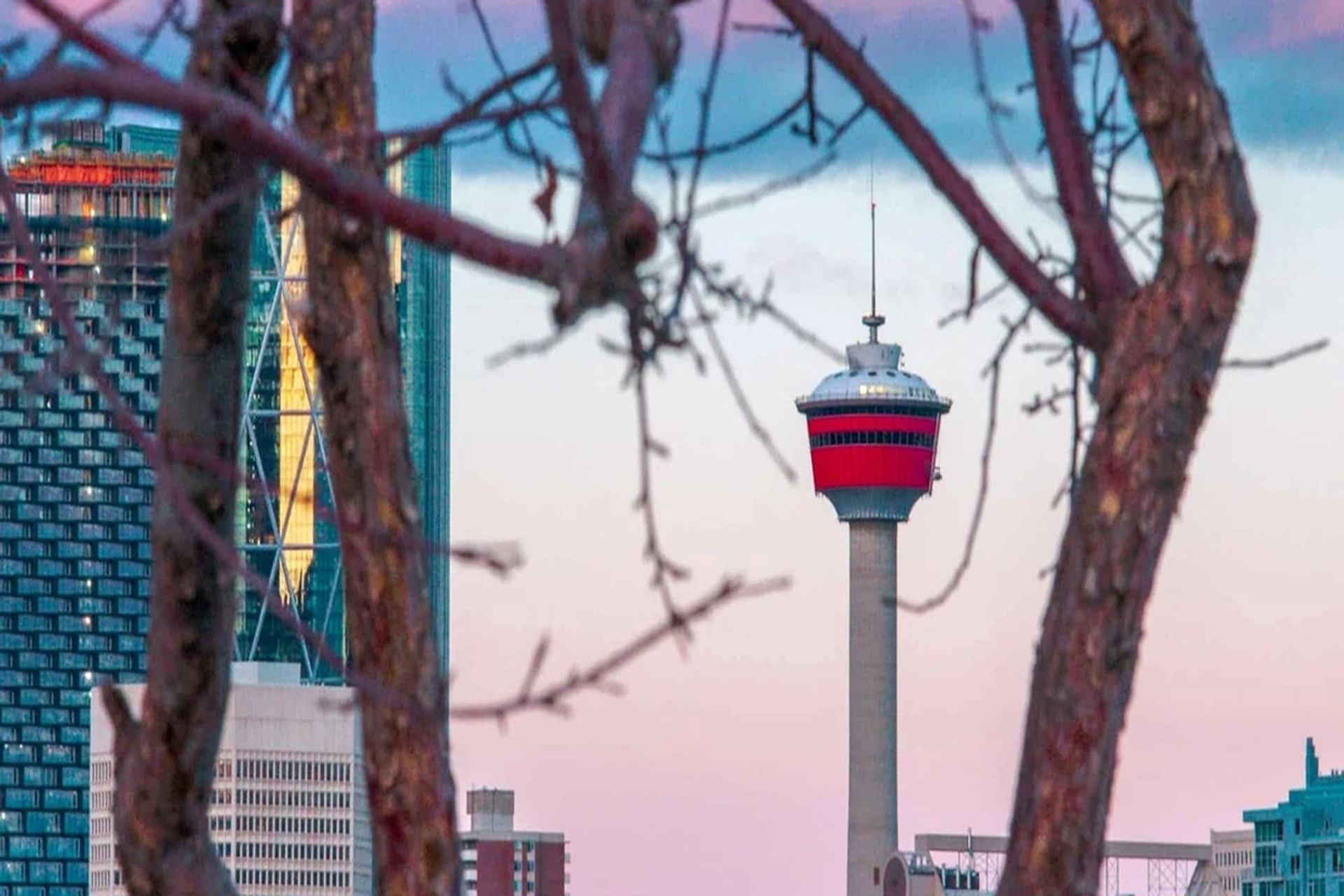 Calgary Tower and downtown buildings framed by bare tree branches.