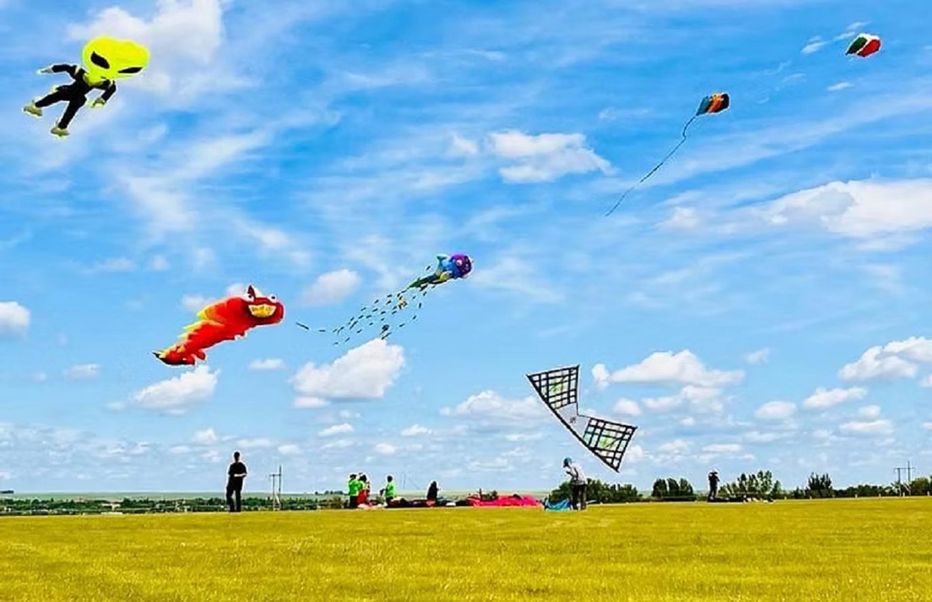 People flying colourful character kites above an open grassy field under a blue sky.