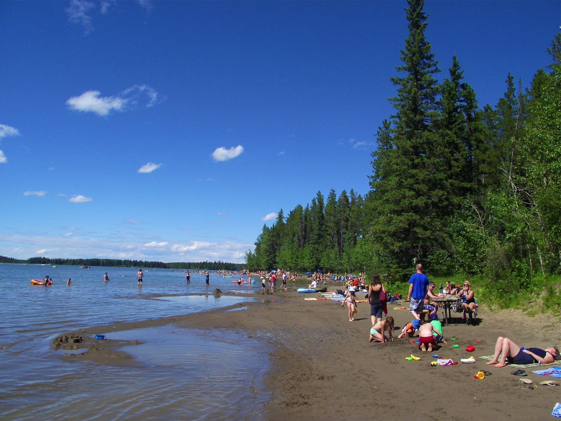 People swimming and relaxing on forest-lined beach under sunny sky.