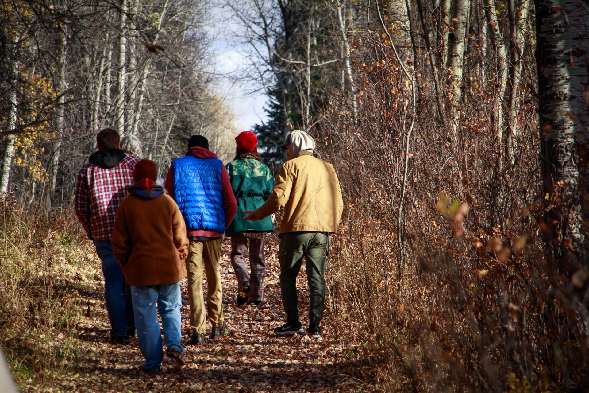 Group walking together on a leaf‑covered forest path in early morning light.