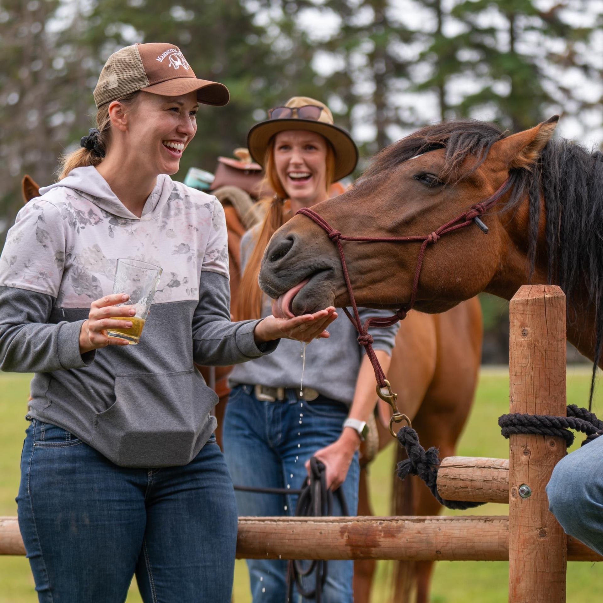 A smiling woman in a baseball cap offers a drink from her hand to a horse, which licks it up, as another woman laughs in the background.