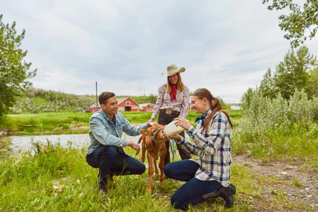 Guests feeding a baby cow while visiting the historic Bar U Ranch near Longview.