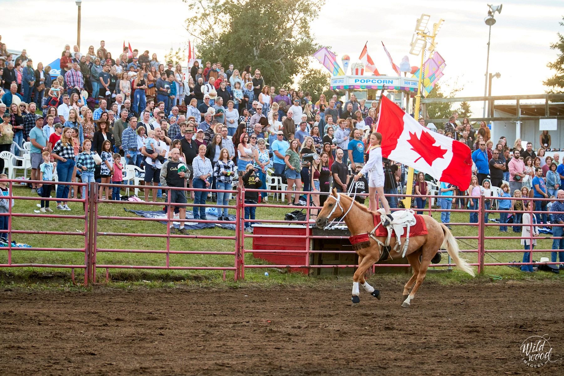 Horse and rider carrying a Canadian flag inside a rodeo arena with full grandstands at the Daines Ranch Pro Rodeo.