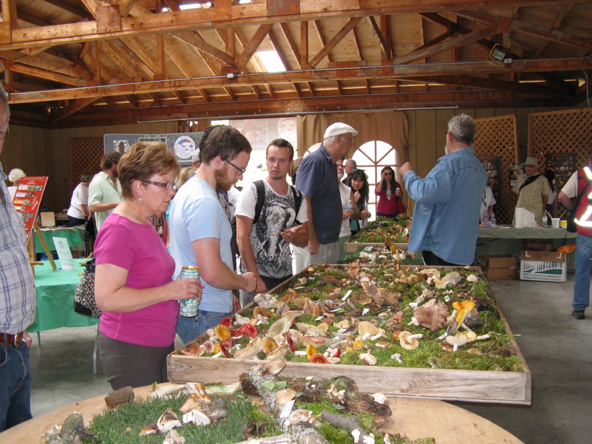 People observing the different kinds of mushrooms