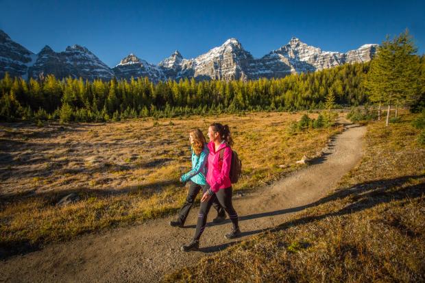 People hiking along a trail through a meadow in the mountains in Larch Valley.