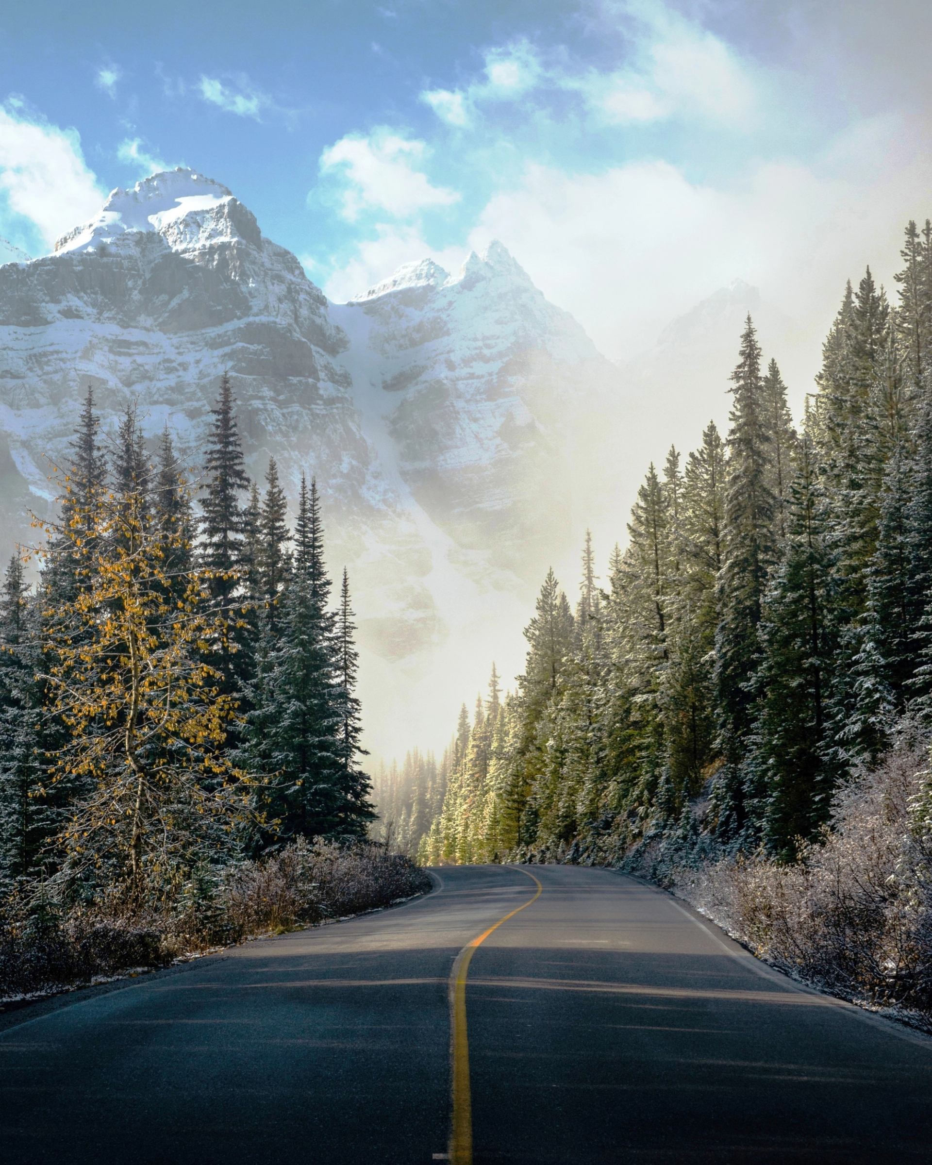 Winding road through snow-dusted evergreens beneath misty, snow-covered mountains.