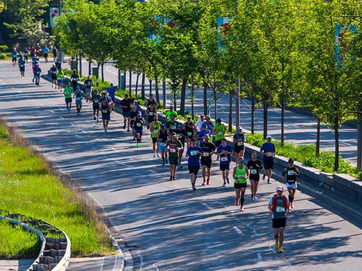 Runners wearing bibs race along a tree-lined city road.