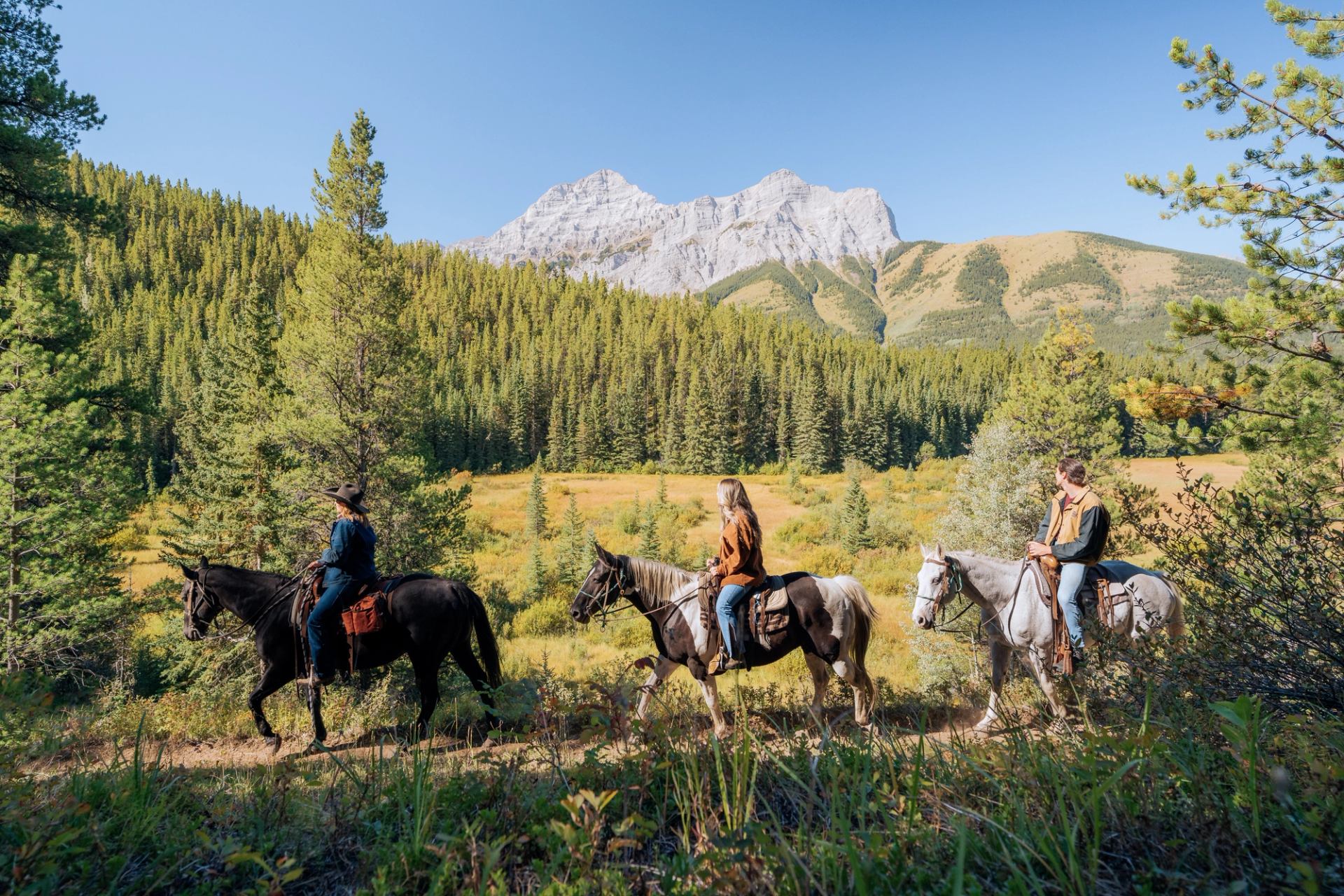 Three people on horseback riding through a forested meadow with mountains in the background.