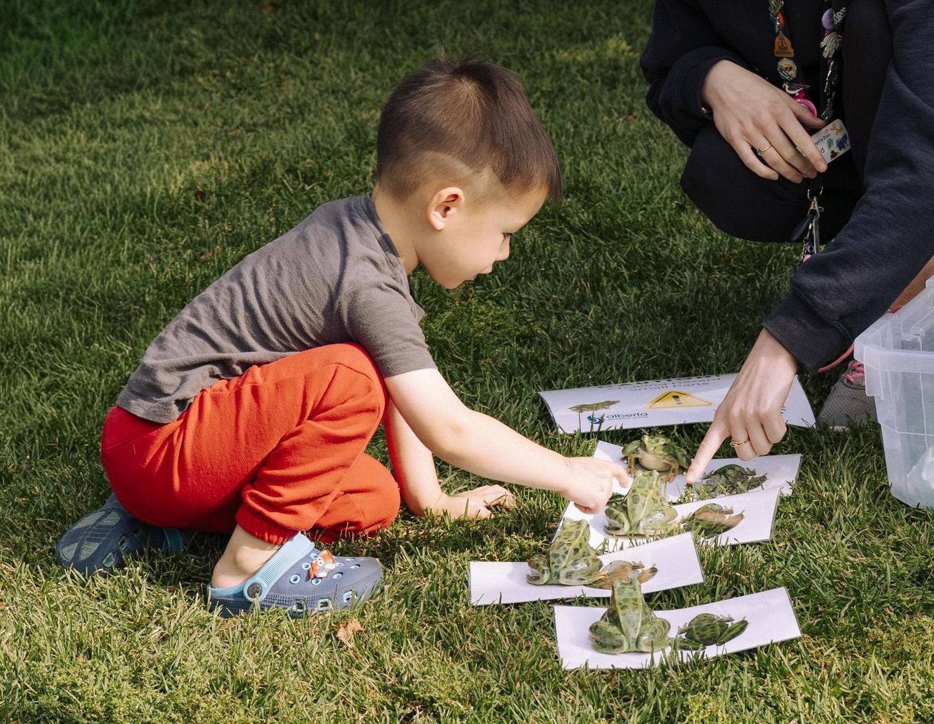 A child kneels on the grass and points to frog models while another person points to the display.