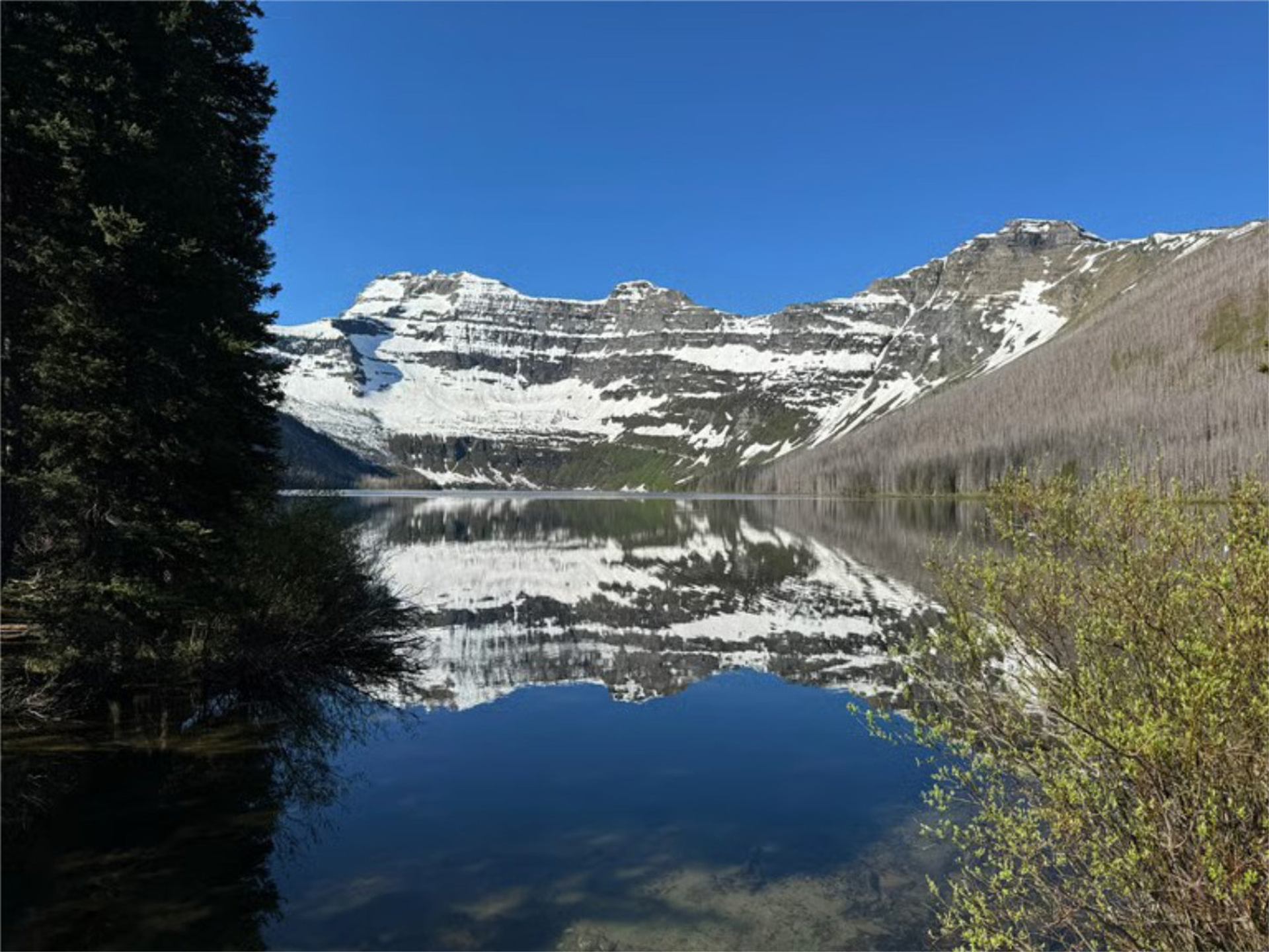Snowy mountain range reflected in a still alpine lake at Carthew–Alderson trail.